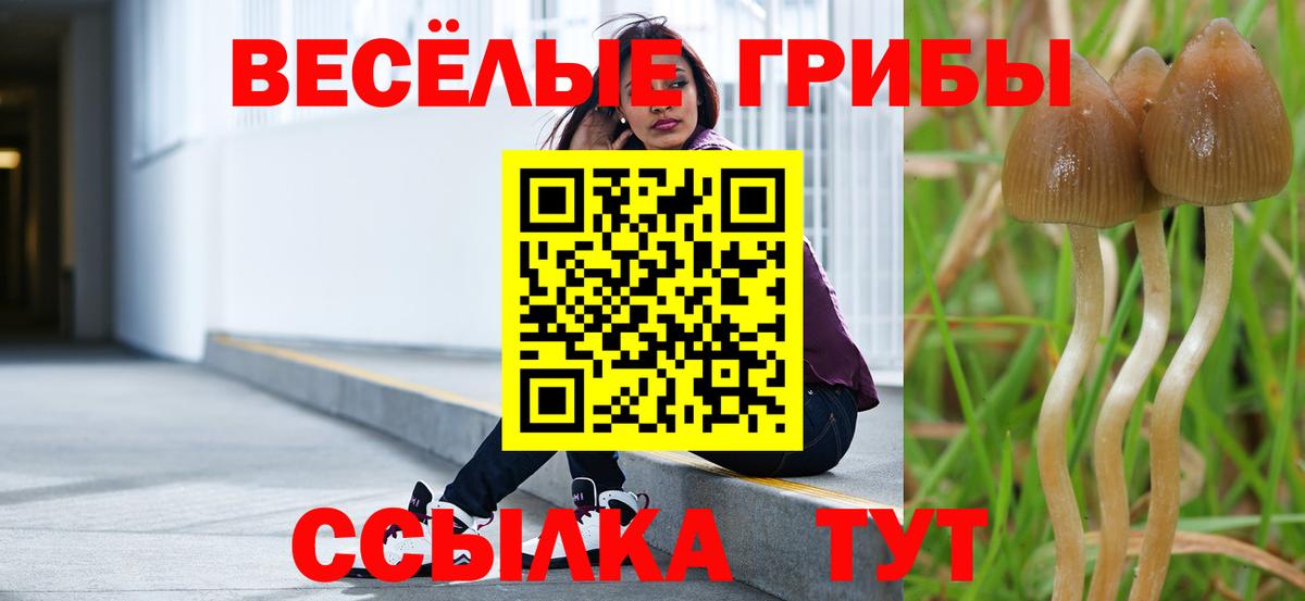 Псилоцибиновые грибы прущие грибы  Вход с VPN  Ханты-Мансийск 